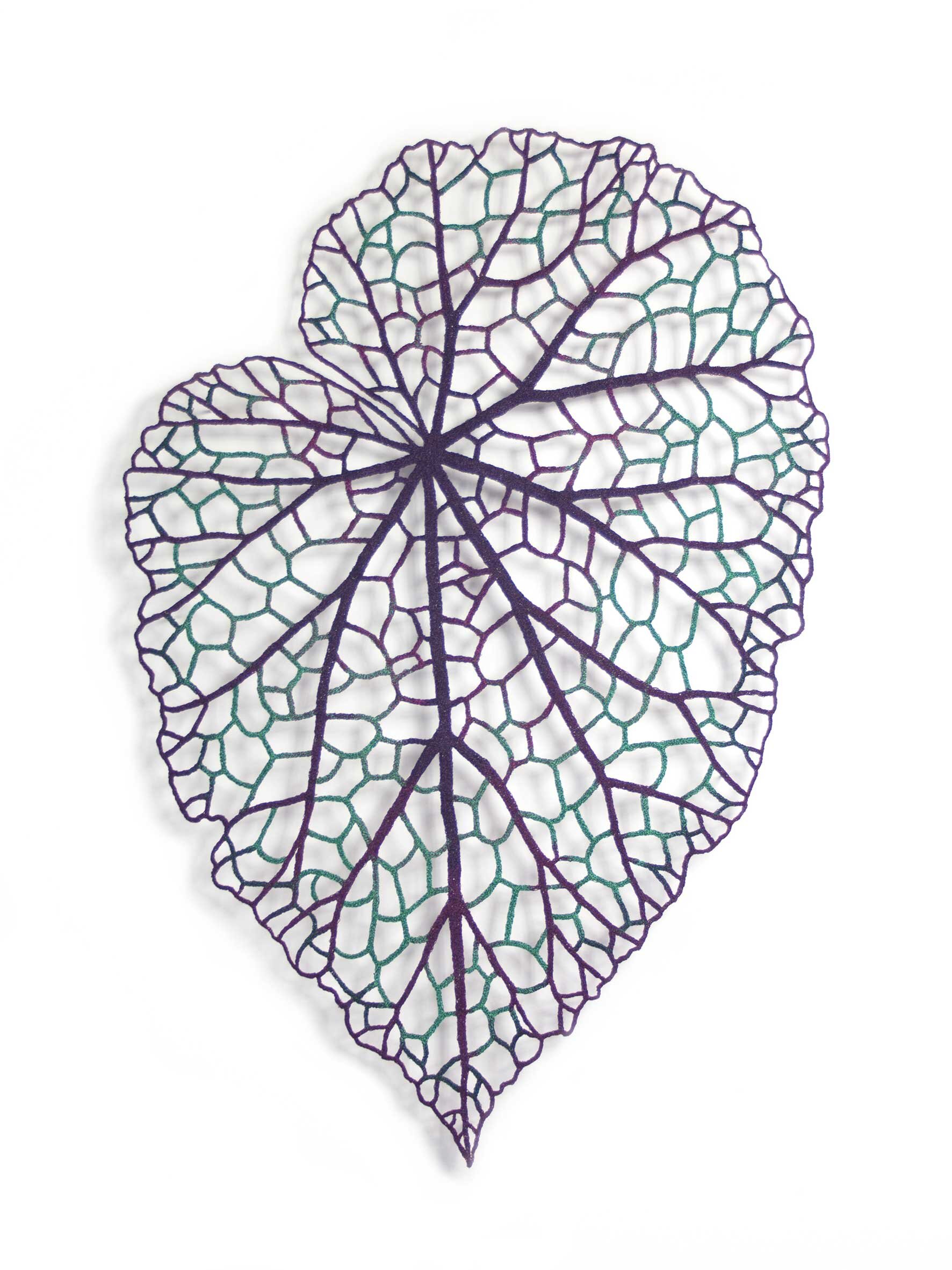 begonia-leaf-2-web.jpg
