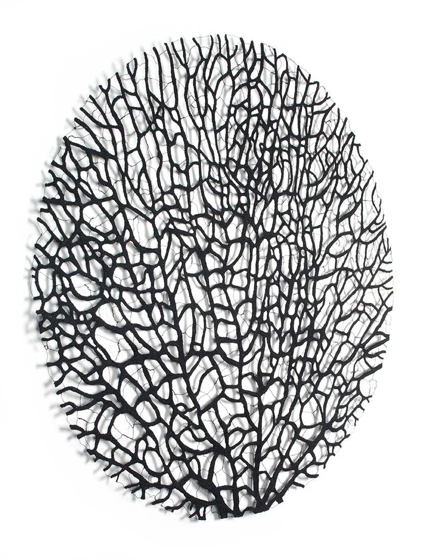 Black-coral-circle-2018-angle-web.jpg