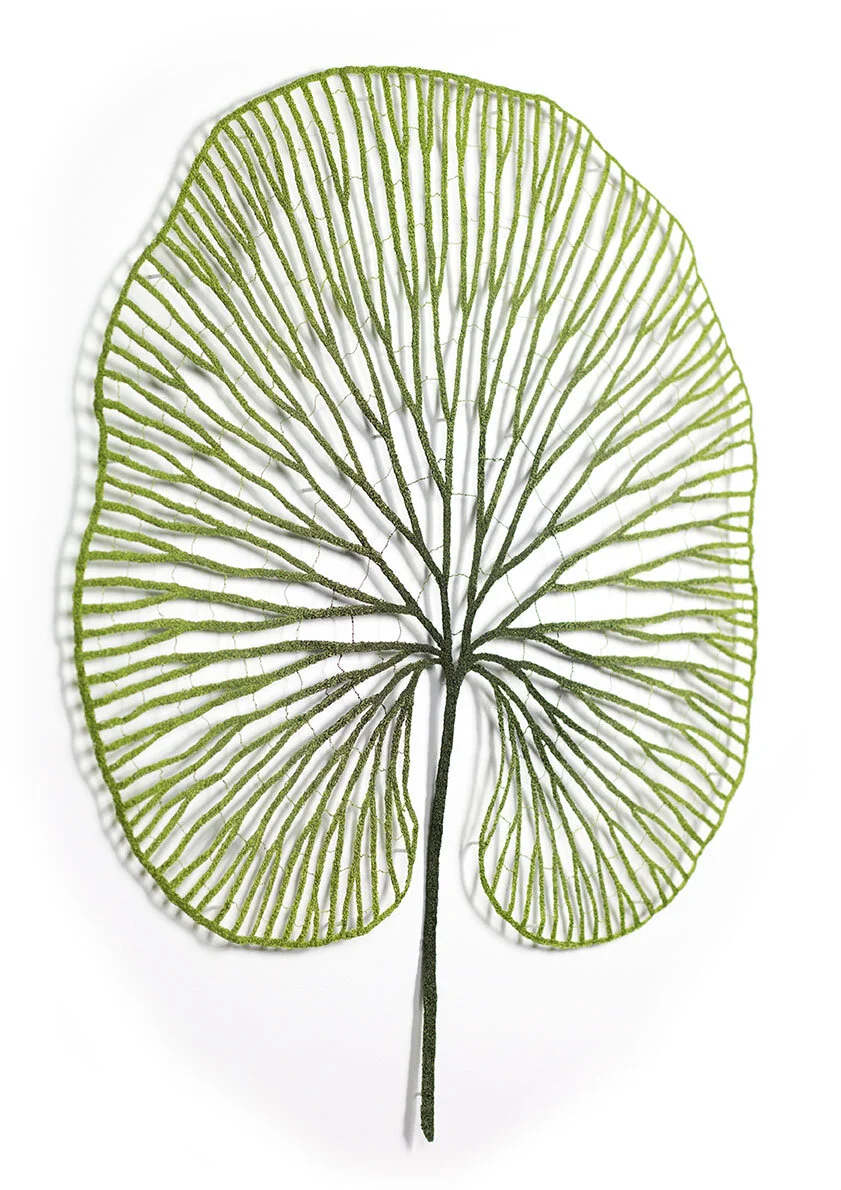 Kidney-fern-angle-web.jpg
