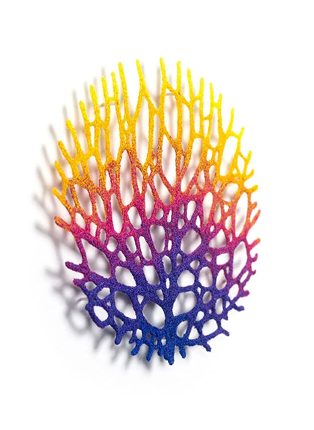 Coral-fan-angle-web.jpg