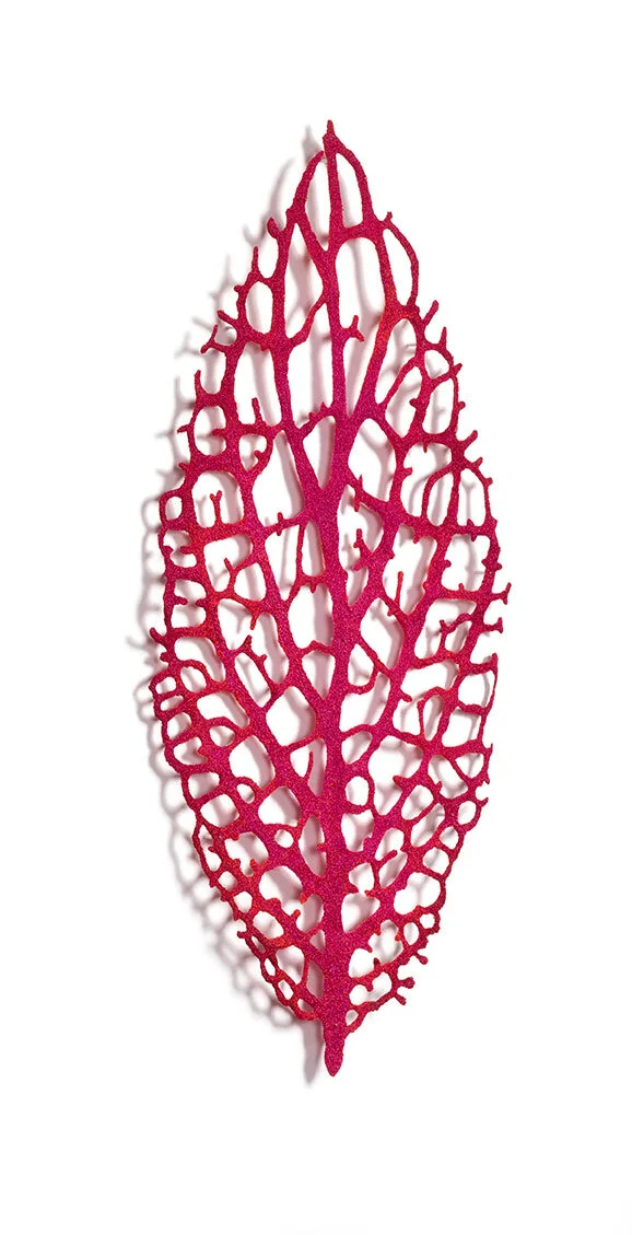 Nerve-Plant-angle-web.jpg