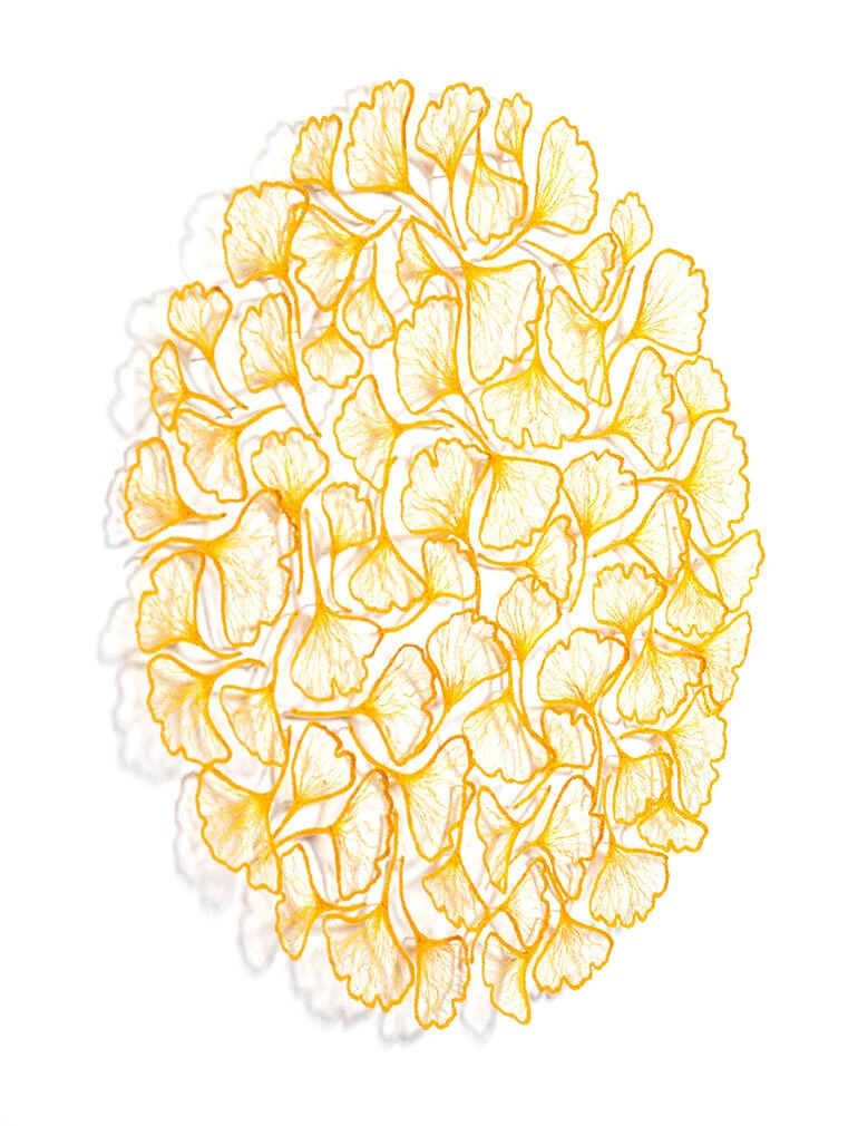 Ginkgo-Circle-2019-angle-web.jpg