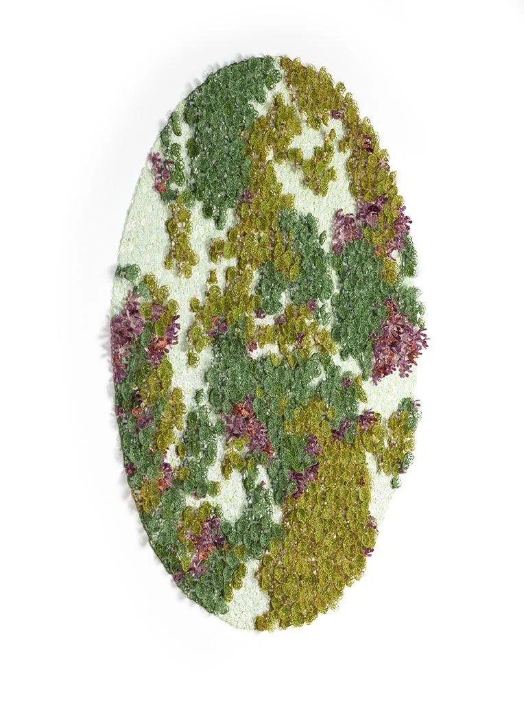 Cushion-plant-angle-web.jpg