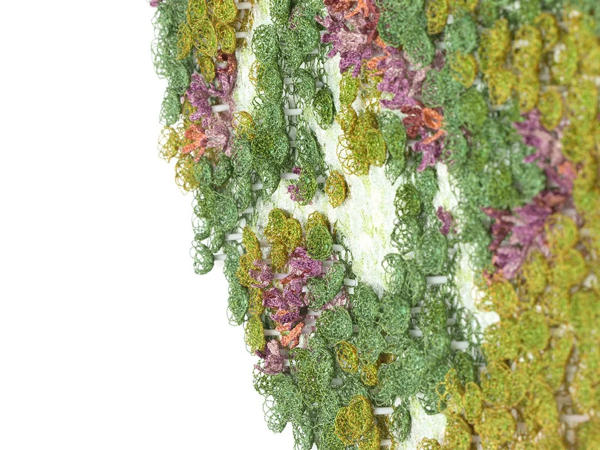 Cushion-plant-detail-3-edit-web.jpg