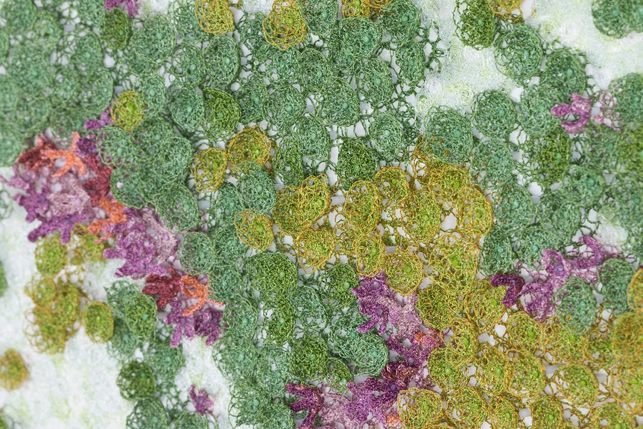 Cushion-plant-detail-4-web.jpg
