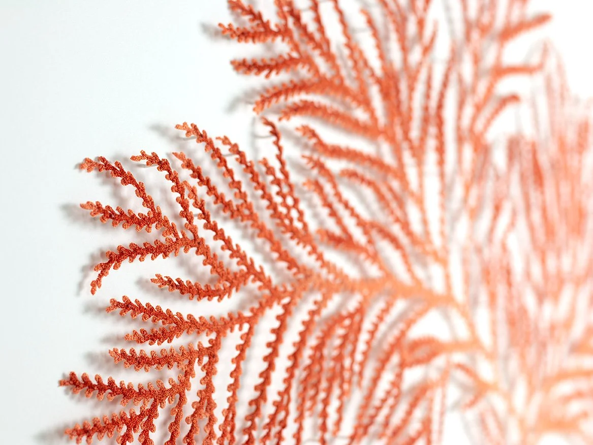 z-coral-detail-1-web.jpg