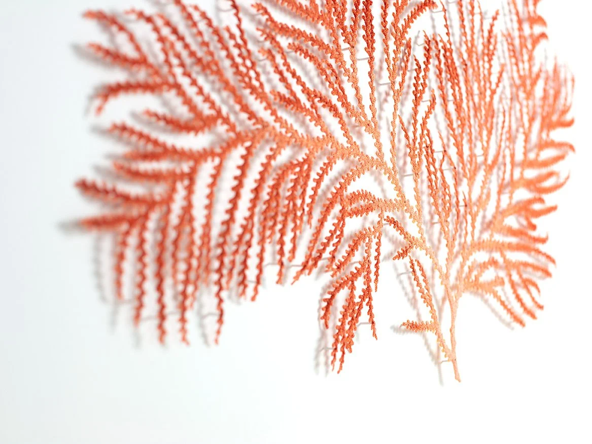 z-coral-detail-3-web.jpg