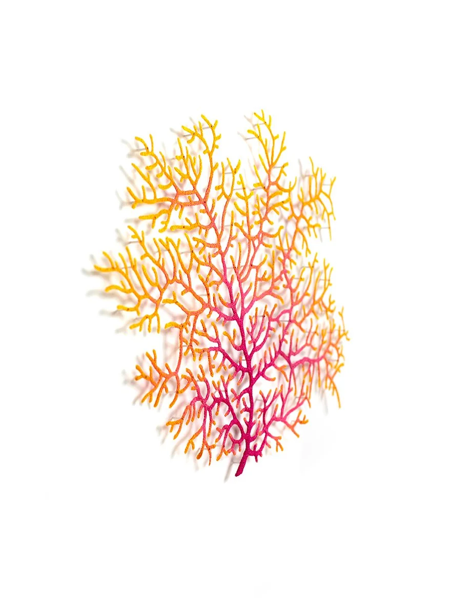 Coral-Fan-1-John-Brewer-reef-(2023),-embroidery-thread-and-pins-on-paper,-angled-view-web-sized.jpg
