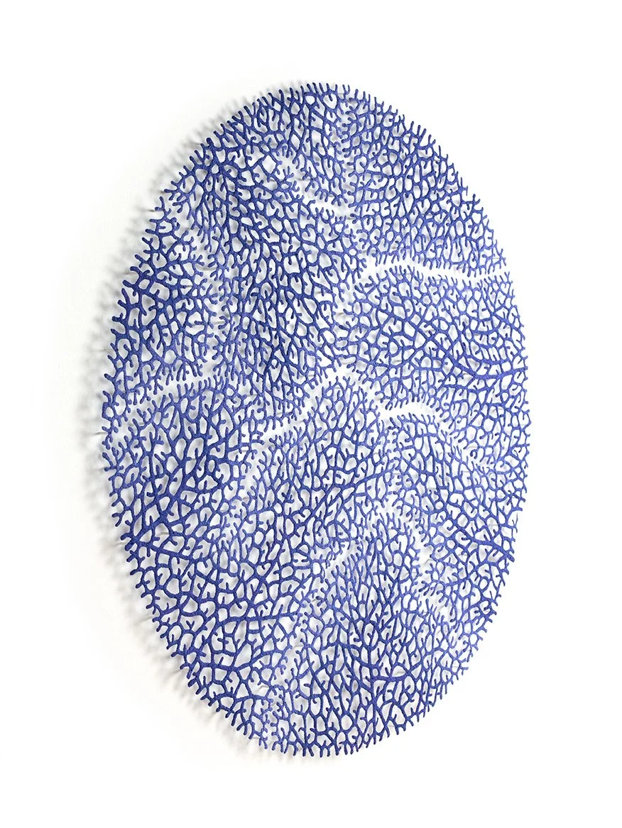 Coral-Canopy-angle-web.jpg