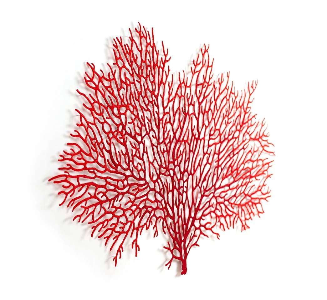 Annella coral (2023), embroidery thread and pins on paper, 103 x 78 x 4cm, angled view-web-sized.jpg