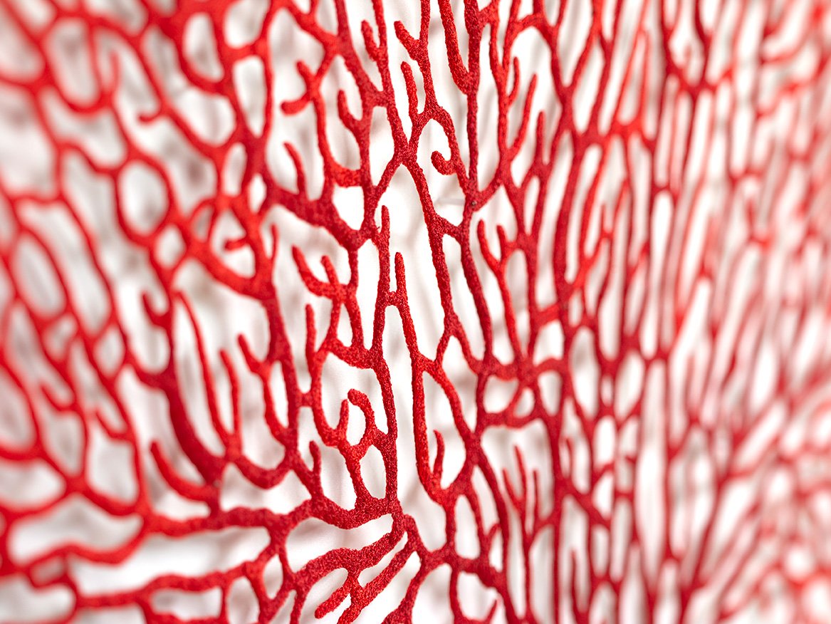 Annella coral (2023), embroidery thread and pins on paper, 103 x 78 x 4cm, detail 2-web-sized.jpg