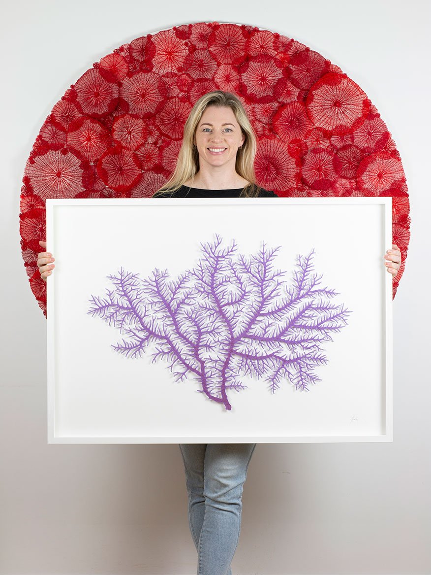 Meredith-Holding-Plumigorgia-Coral-WEB.jpg