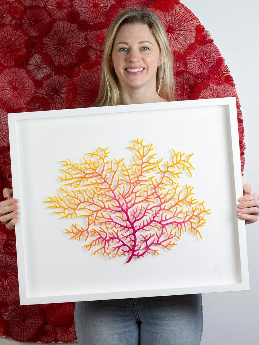 Meredith-Holding-John-brewer-reef-1-web.jpg
