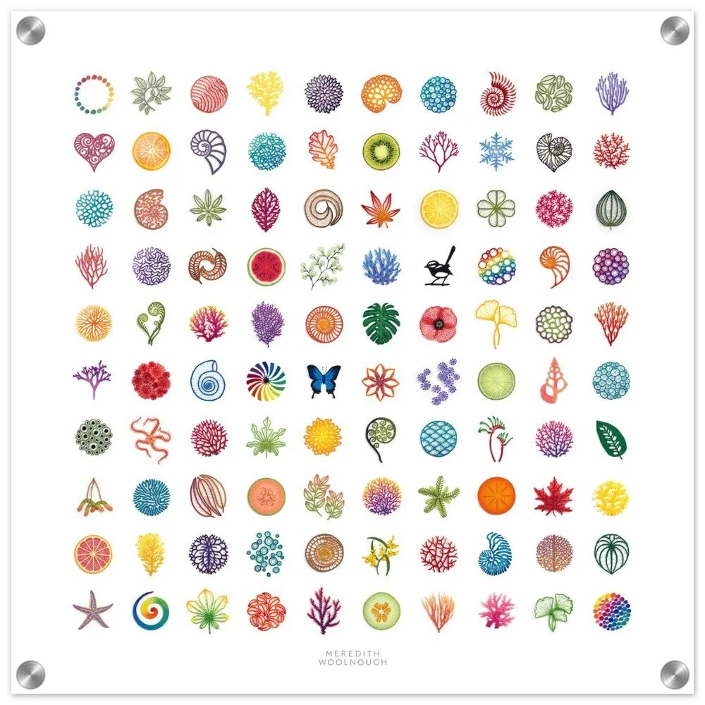 tmp-344-zKnYSq28zBqH