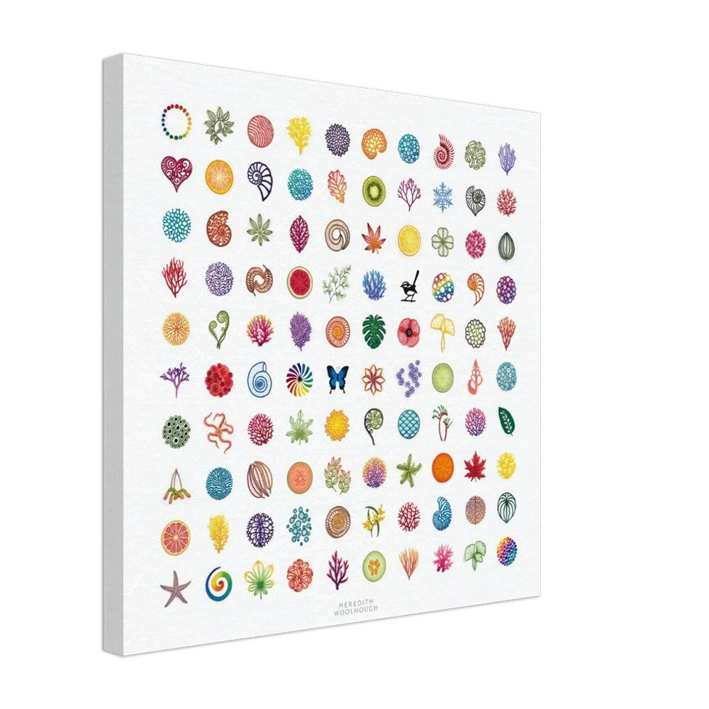 tmp-344-7tvvamWpbKye