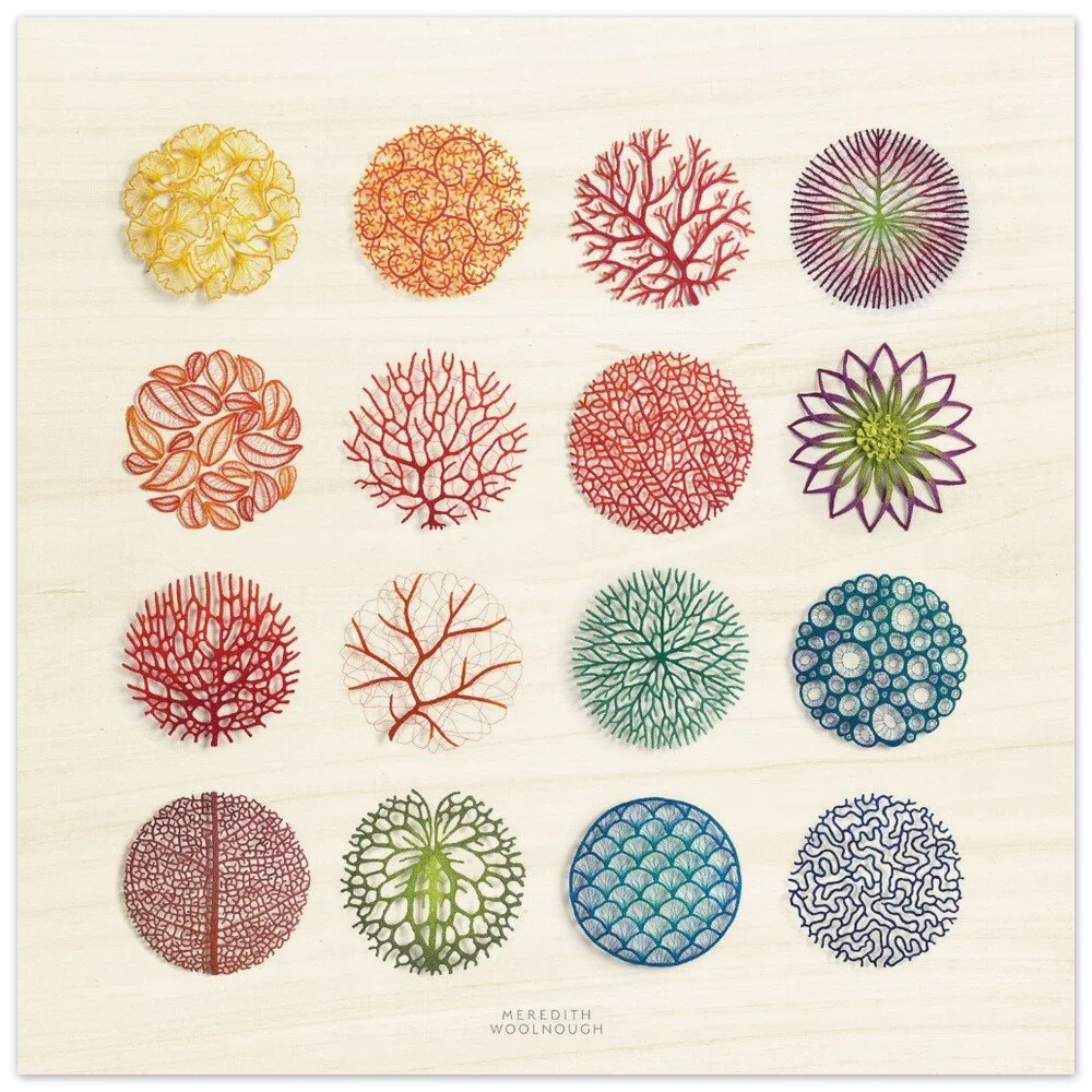 tmp-363-Vr51LOw4doVH