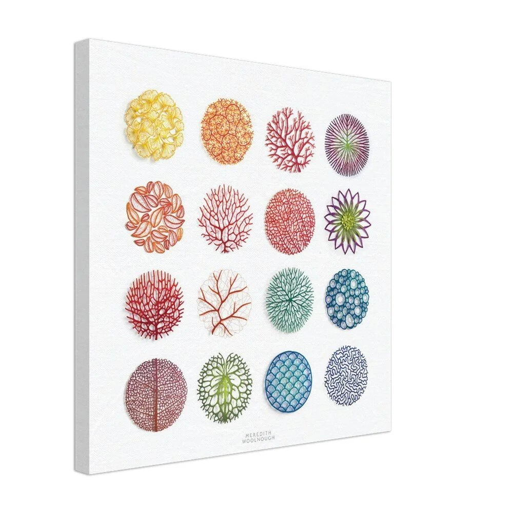 tmp-363-VpXO7vQX7d67