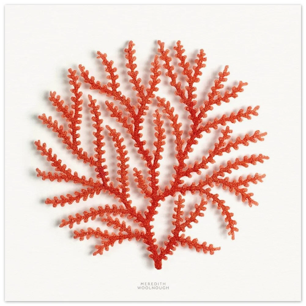 tmp-357-84FpW7E622Wo