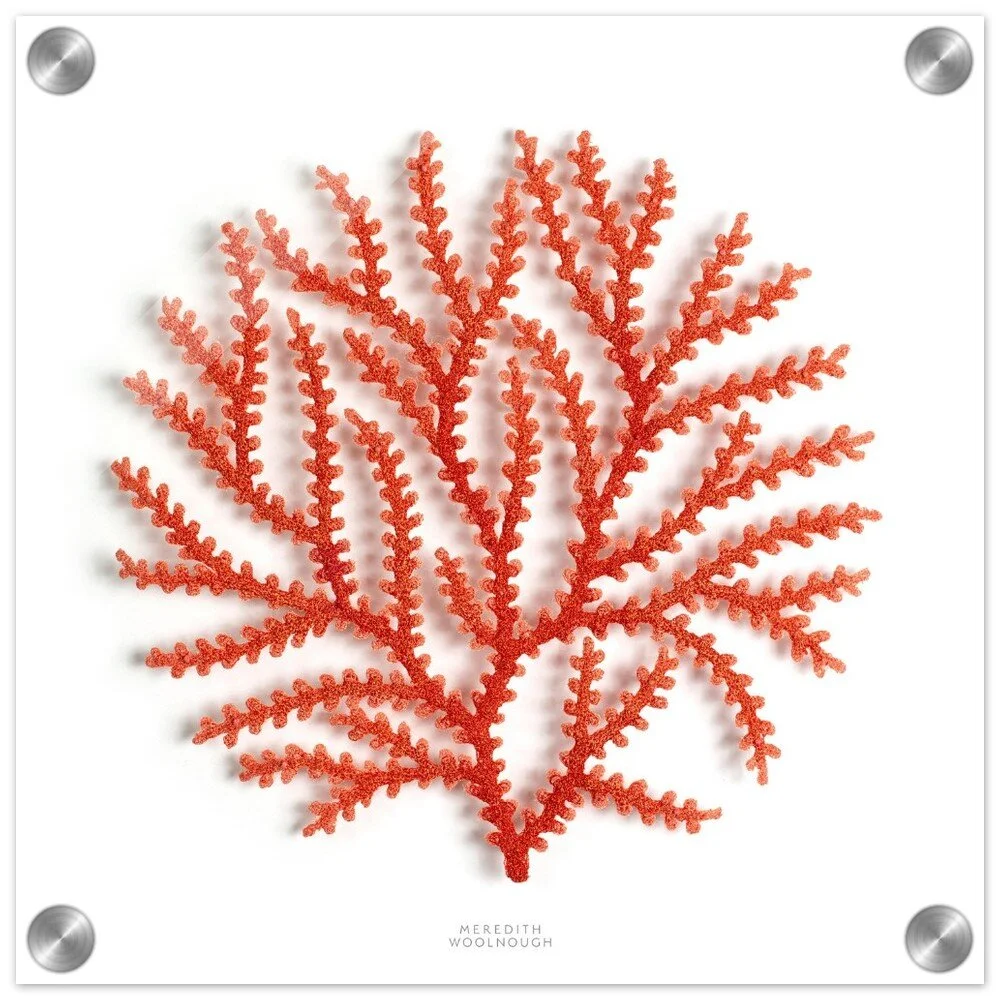 tmp-357-RfkS2jCETTtU