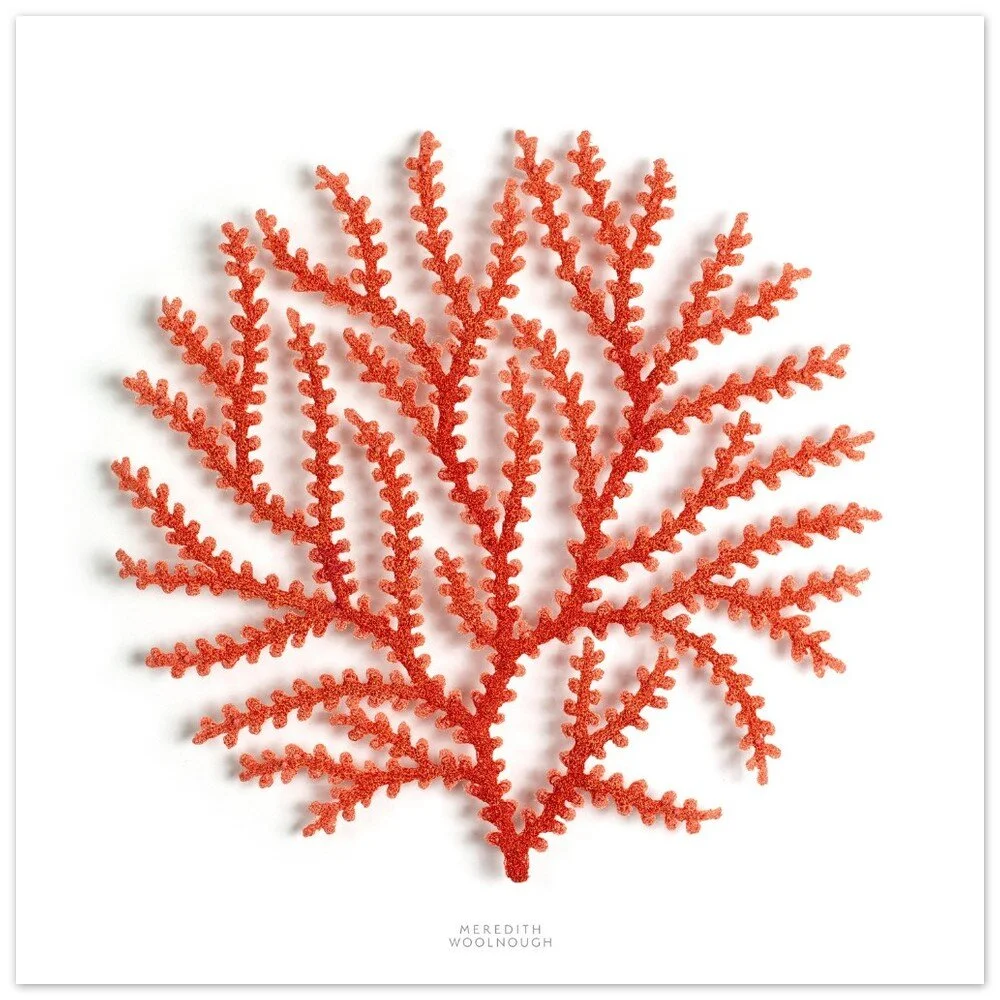 tmp-357-yktgDDC2JuGV