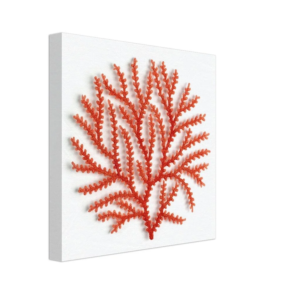 tmp-357-cWzs6Nt7YY9f