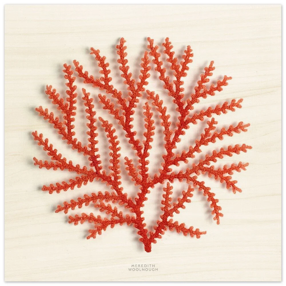 tmp-357-jB3WXEPgyopR