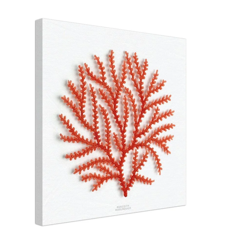 tmp-357-jJKzQ96PZ3dd