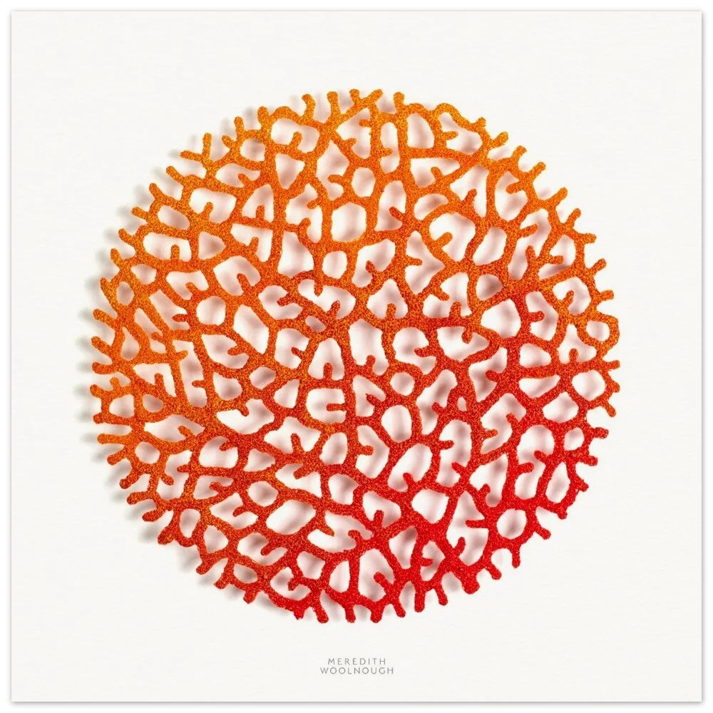 tmp-325-SMWjM6NEb3SO