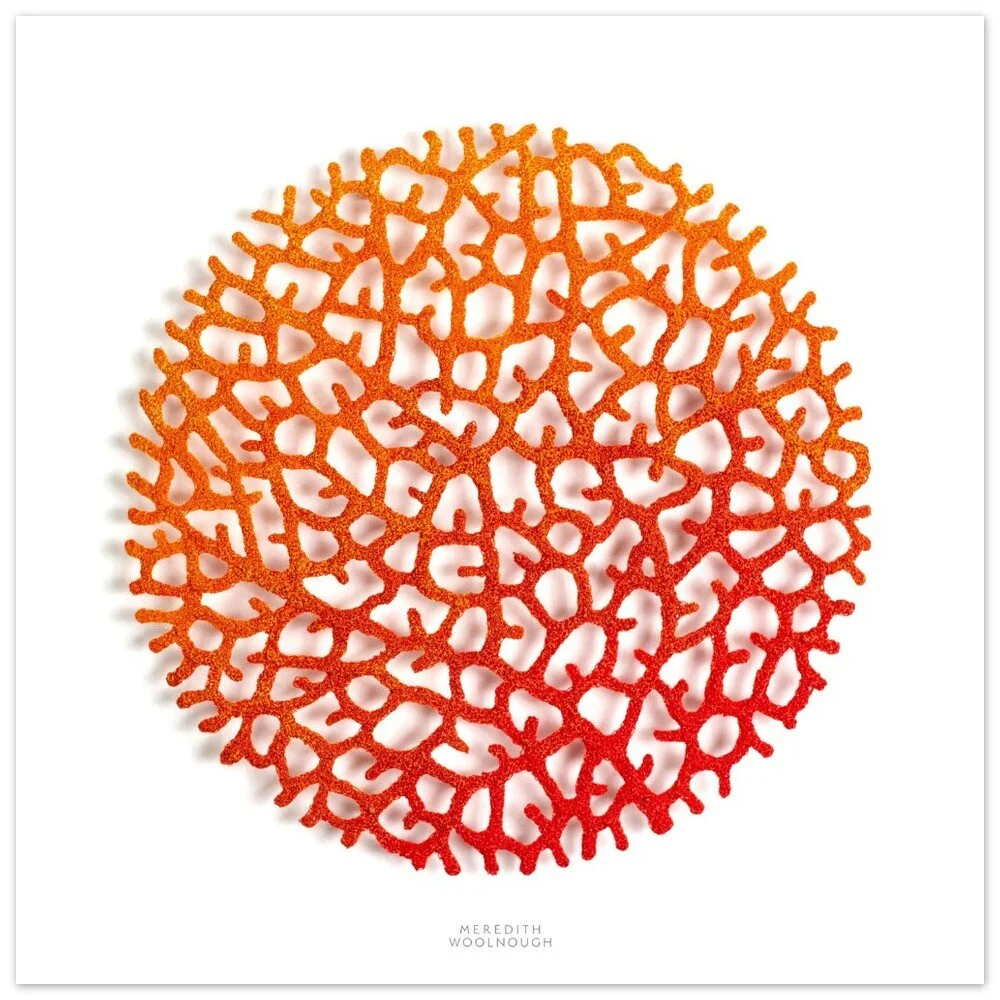 tmp-325-yFFnQhCTNONm