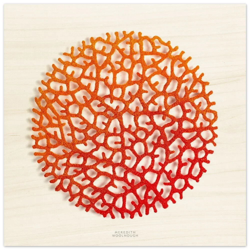 tmp-325-osotCB9zlllR