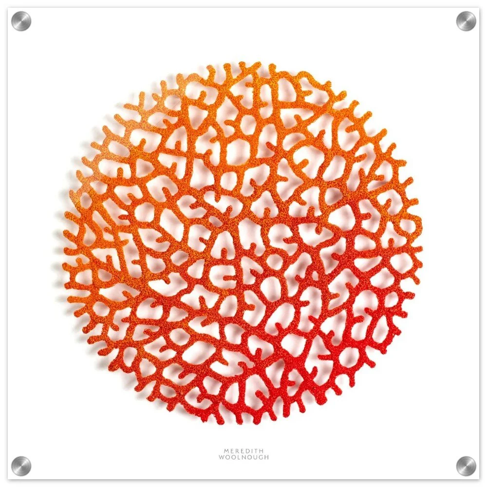 tmp-325-F6VwPtyVRtg4