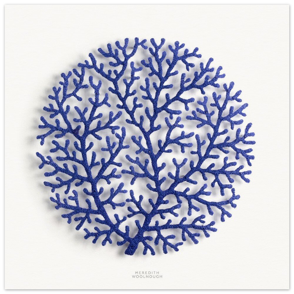 tmp-349-OX1n1iiADk55