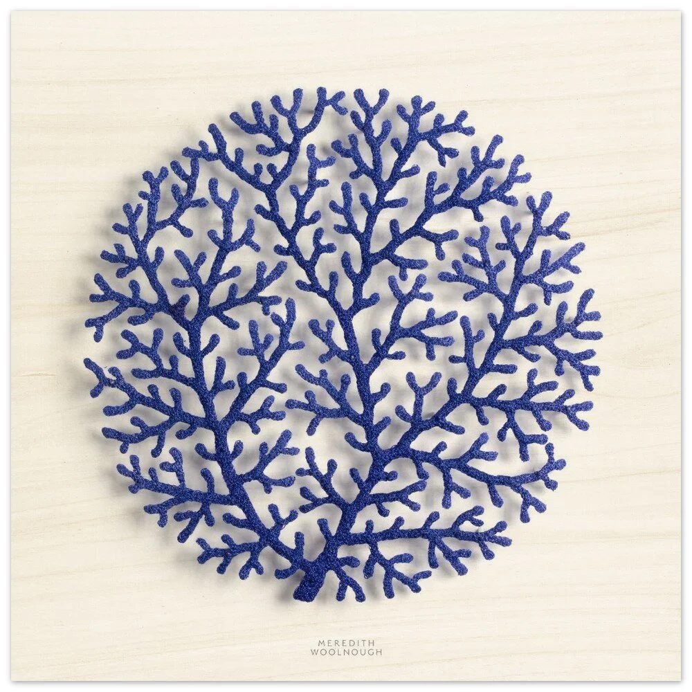 tmp-349-2GbrsHZHwDcJ