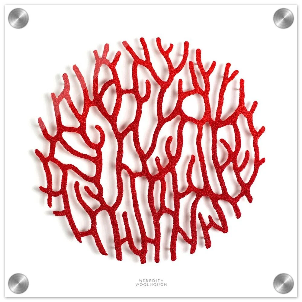 tmp-366-FSZeV2QxTQlI