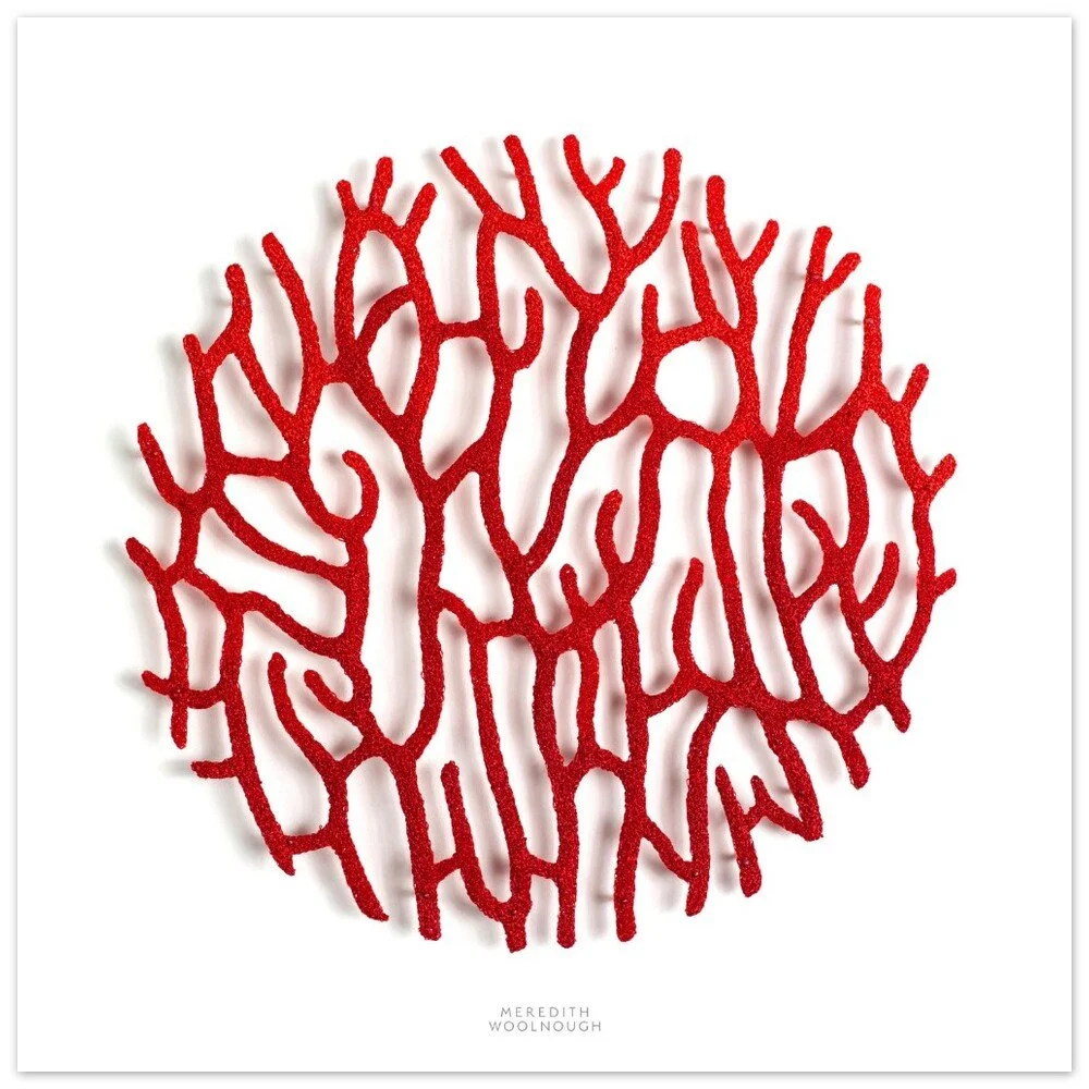 tmp-366-fZl6qrS97KkN