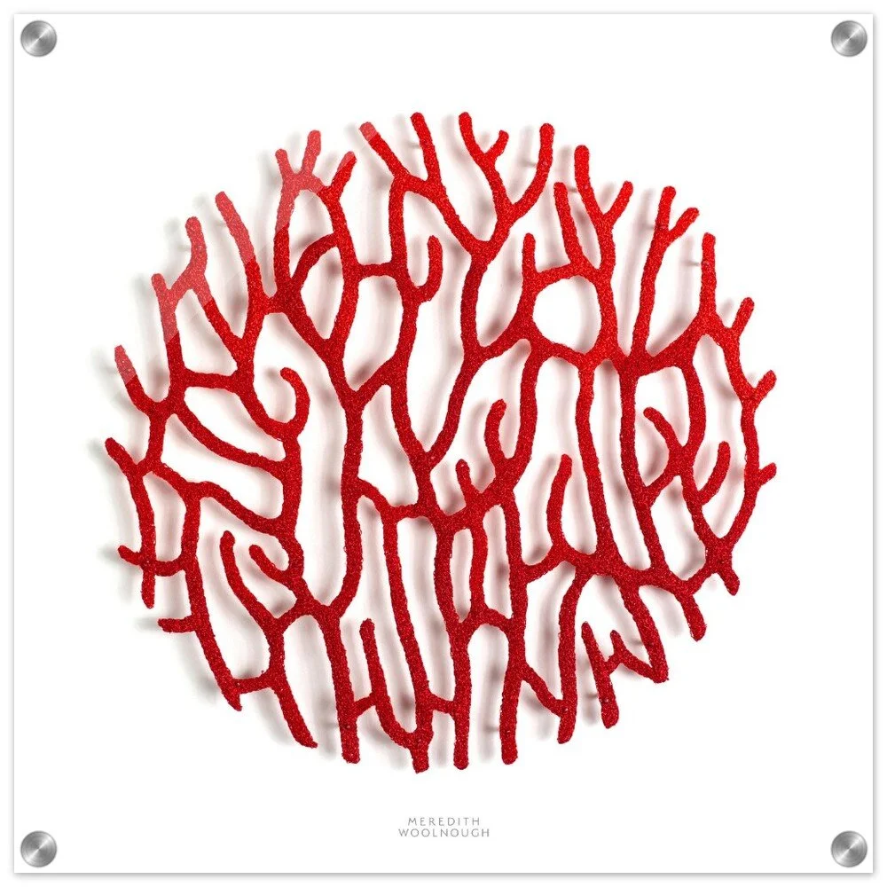 tmp-366-nWfiNYZbXusp