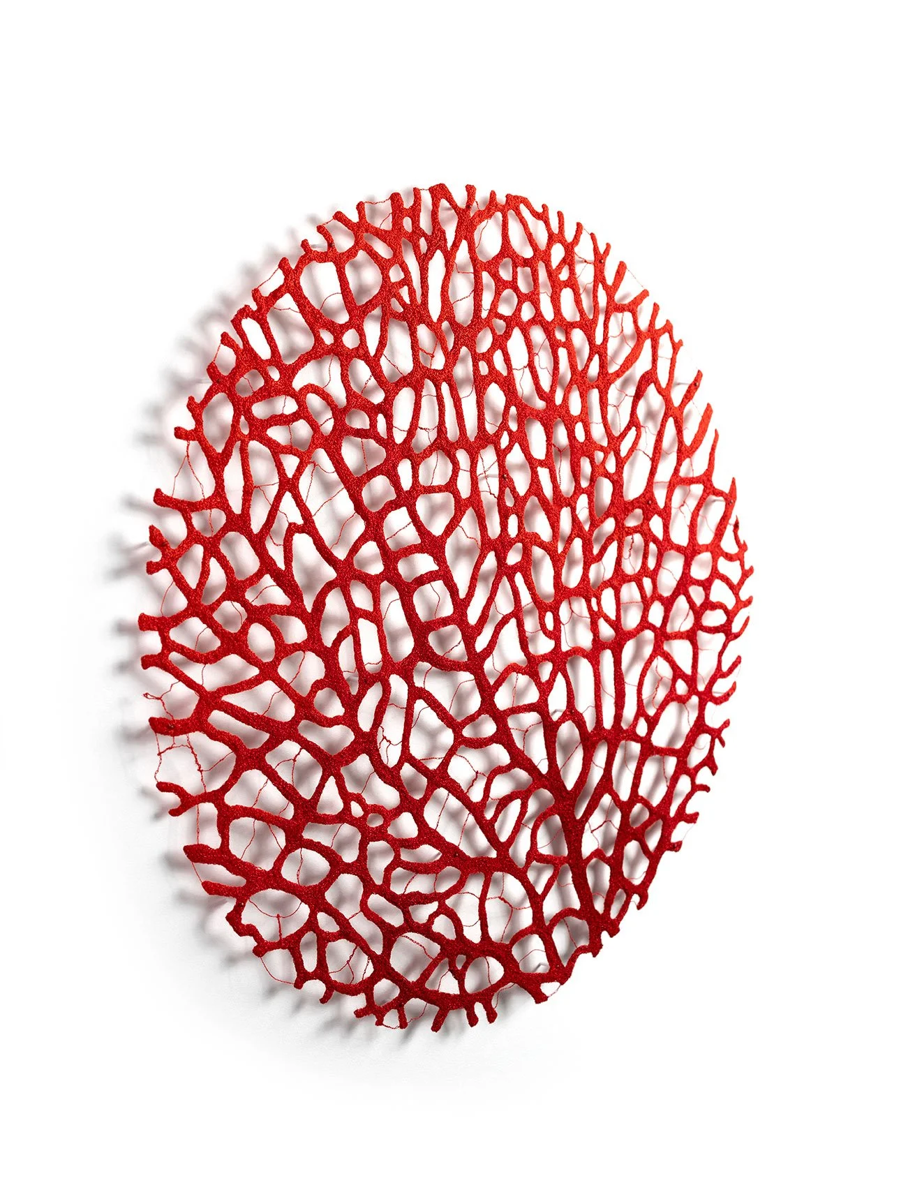 Red-Coral-Circle-angle-web.jpg