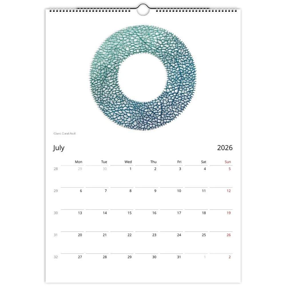 tmp-151-LiIaU2obXR9V