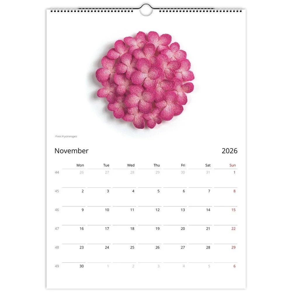 tmp-151-mYfJBk1hn5jF