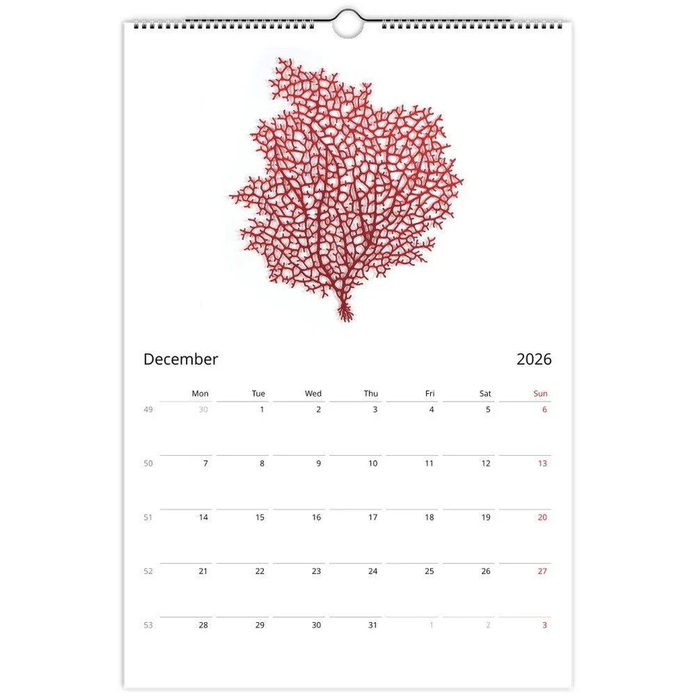 tmp-155-xzWHOegJ4yul