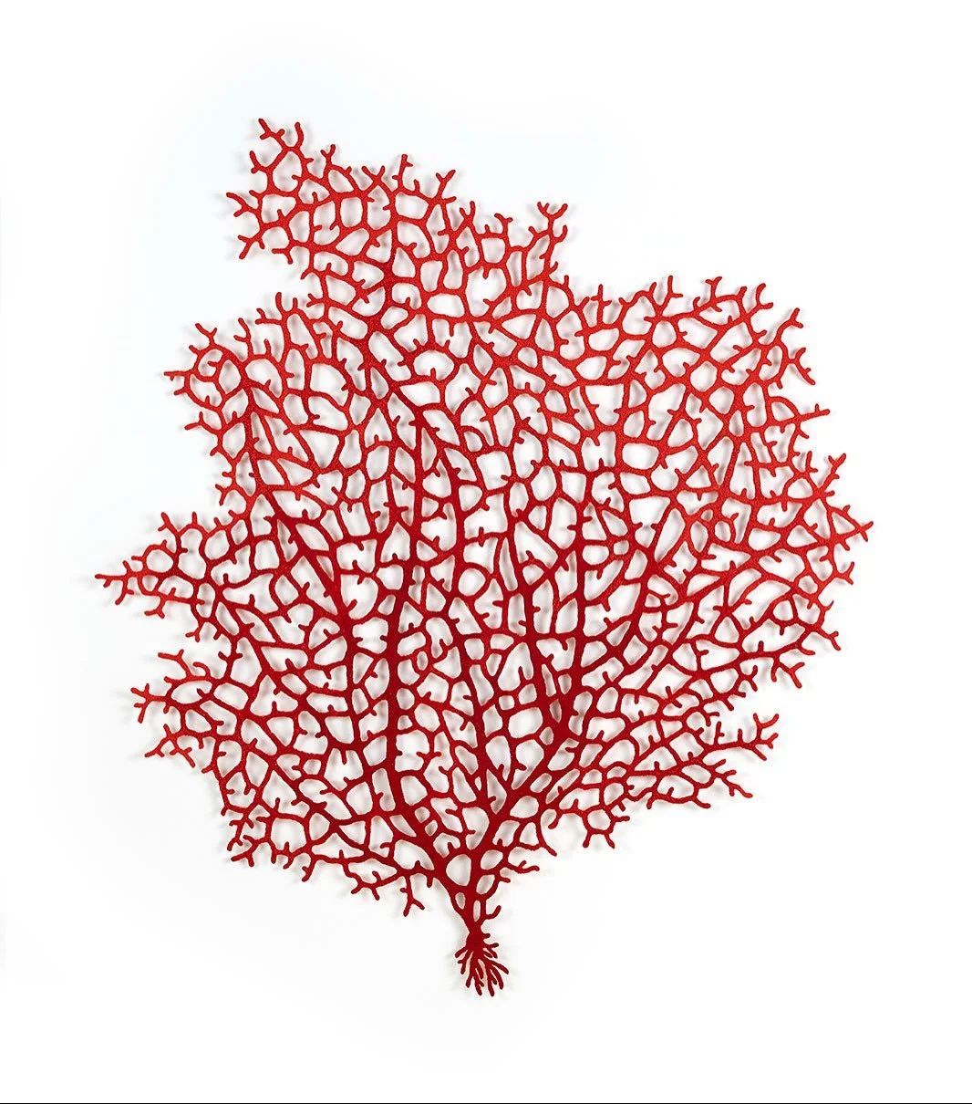 Update: SOLD 🔴
I have a special new artwork to share with you. This piece almost made it into my recent coral release, but missed it by just a few weeks while waiting on her frame.
 
She&rsquo;s finally ready&hellip; and I couldn&rsquo;t be more pro