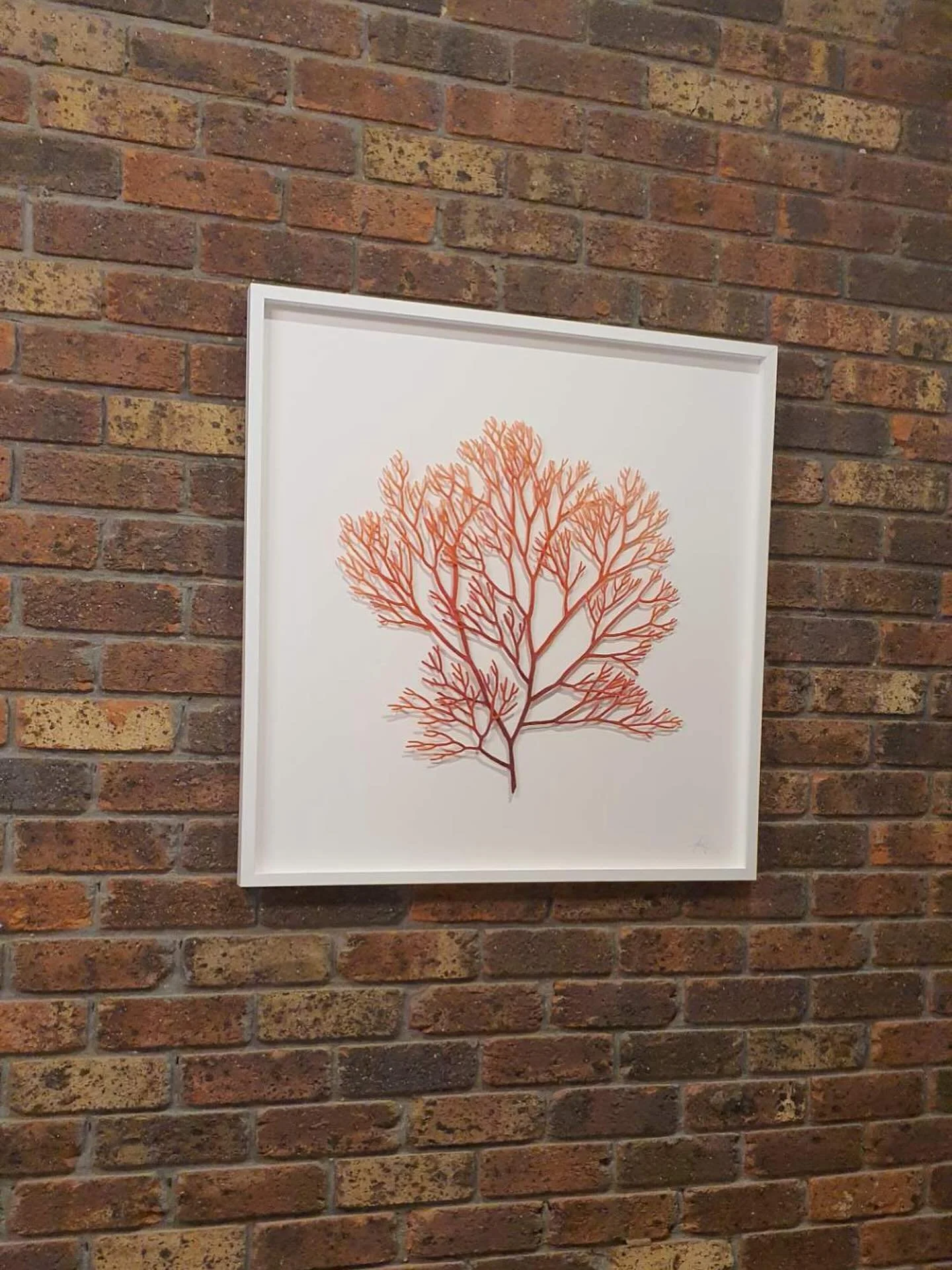 I love seeing where my artworks end up. ❤️

#sculpturalembroidery #laurenciaelata #meredithwoolnough