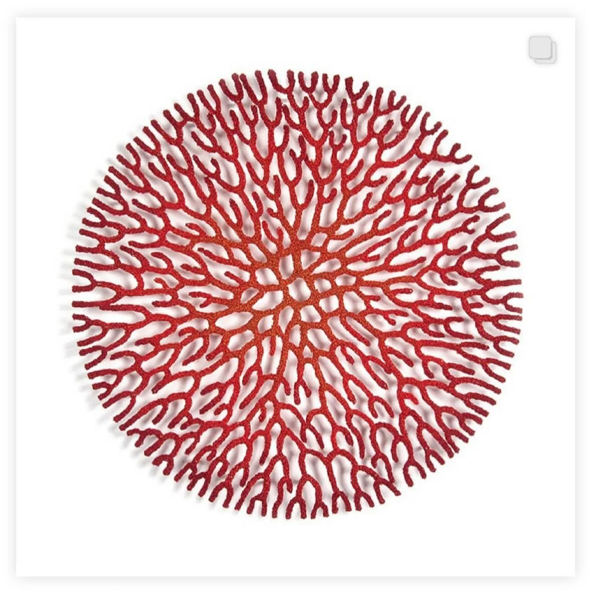 Some red pieces from the last few years ❤️

#sculpturalembroidery #meredithwoolnough