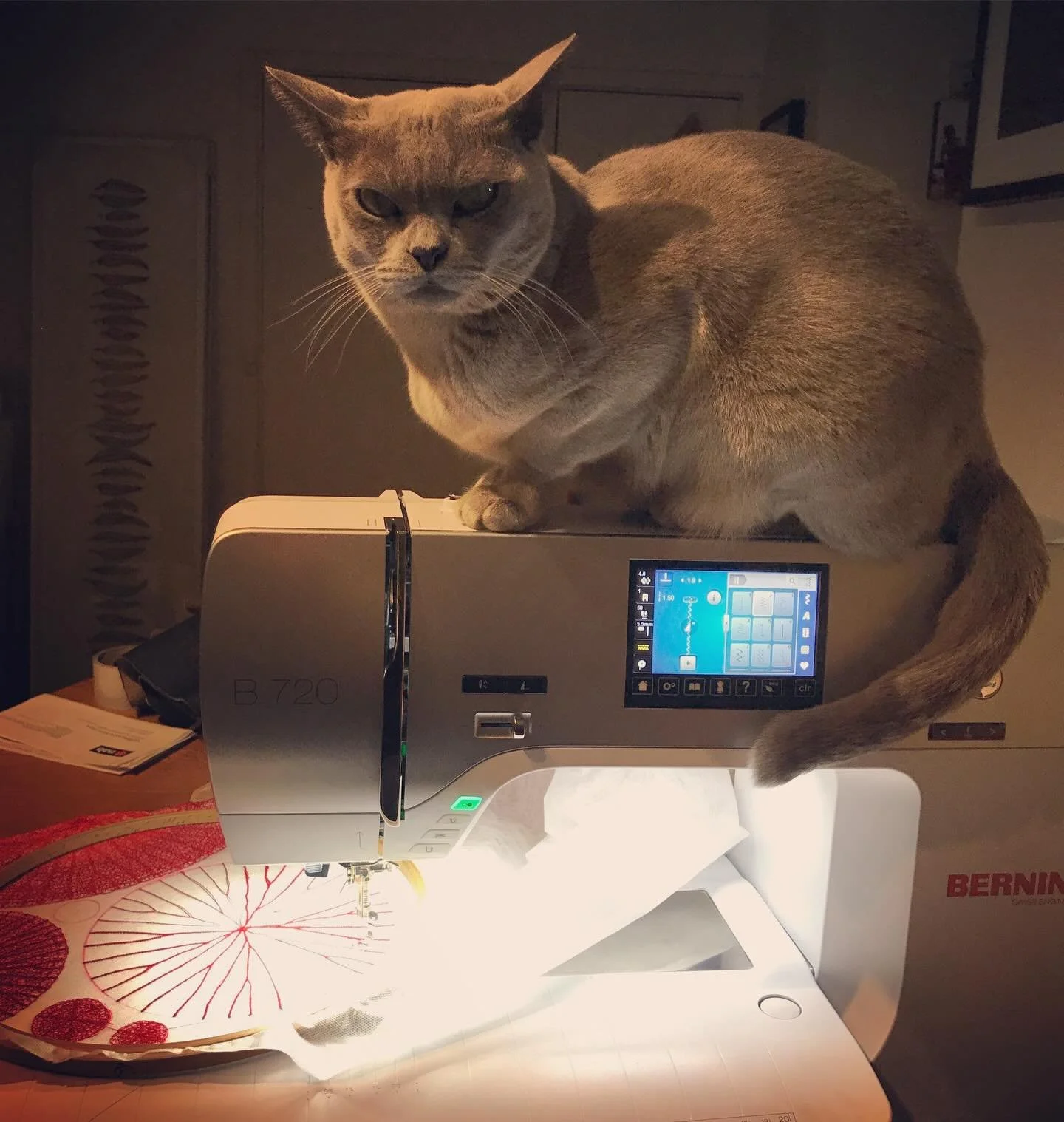 Time to take a break human! 
Scout knows best 🤣

#catsofinstagram #sculpturalembroidery