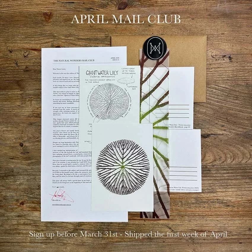 Here&rsquo;s a little look inside the first edition of The Natural Curiosities Mail Club.

Each month a small envelope arrives in your letterbox containing:

&bull; A personal letter sharing the story and research behind that month&rsquo;s plant or a