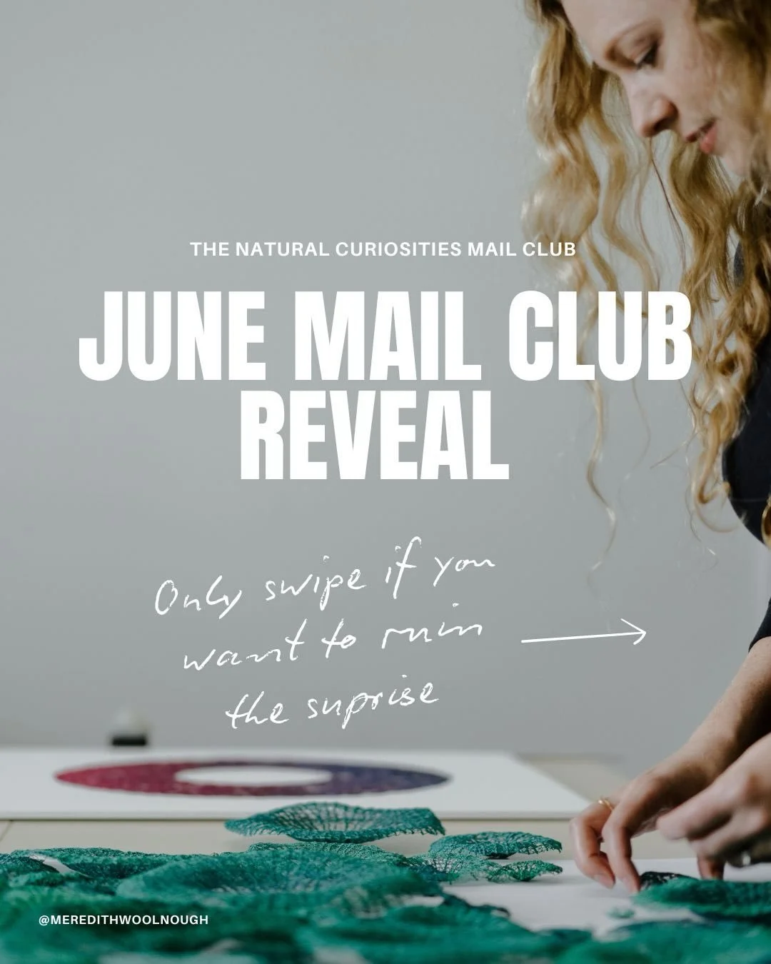 Announcing the theme for Junes mail club! 
Ginkgo&rsquo;s!!! 💛

Arguably one of my favourites plants, Ginkgo biloba has facinated me for years and it&rsquo;s beautiful fan shaped leaves have featured in many of my artworks. I&rsquo;m so excited to s