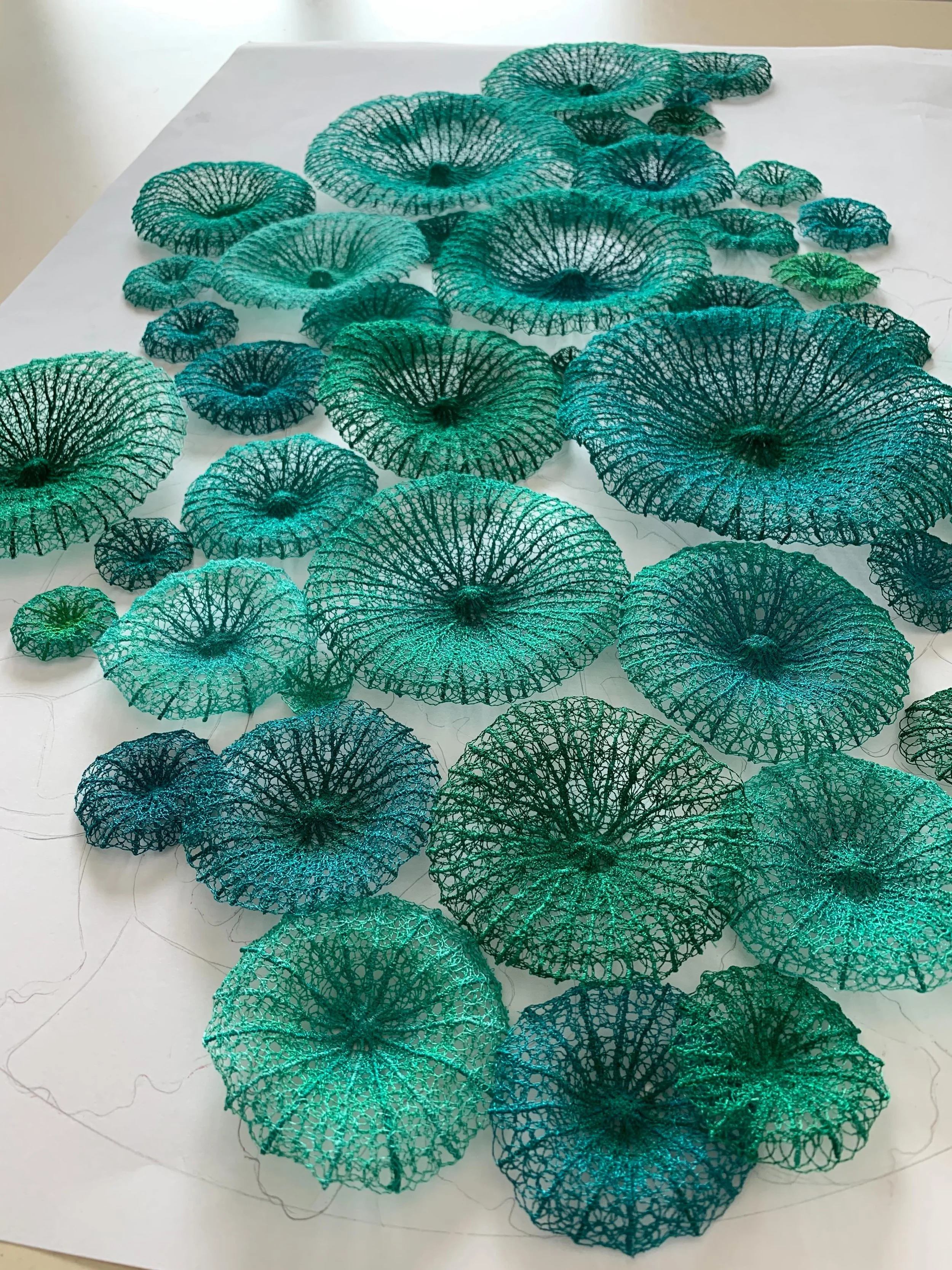 Discosoma - corallimorphs - mushroom coral 
Whatever you call them, these marine critters are very cool and I love stitching them. 

This collection of pieces formed part of a commission from a few years ago. I&rsquo;m thinking of creating more for m