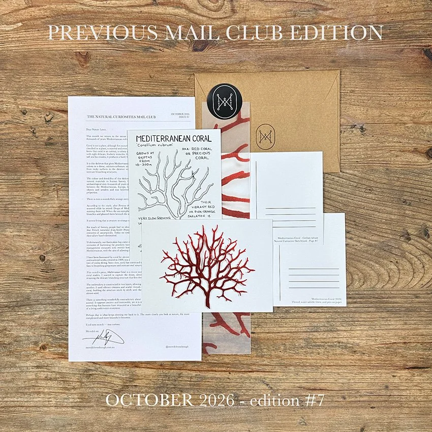 Mediterranean-coral-edition-previous.jpg