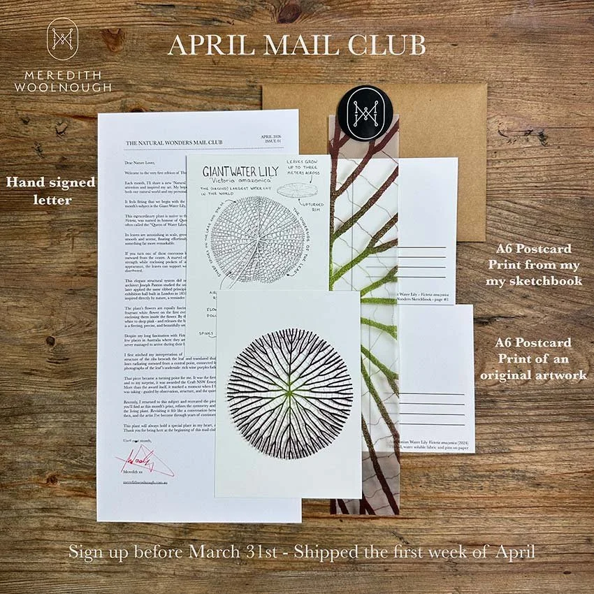 April-mail-club-promo-pic-web.jpg