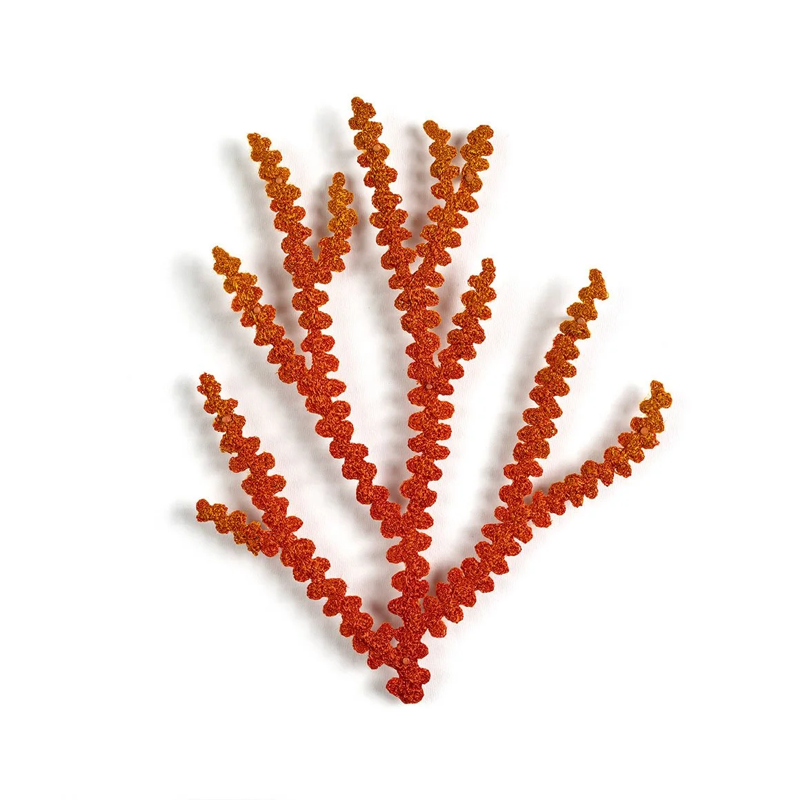 Nicella-Coral-Frag-front-web.jpg